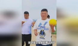 今日吃瓜体育生男友,揭秘校园恋情背后的甜蜜与挑战